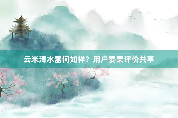 云米清水器何如样?用户委果评价共享