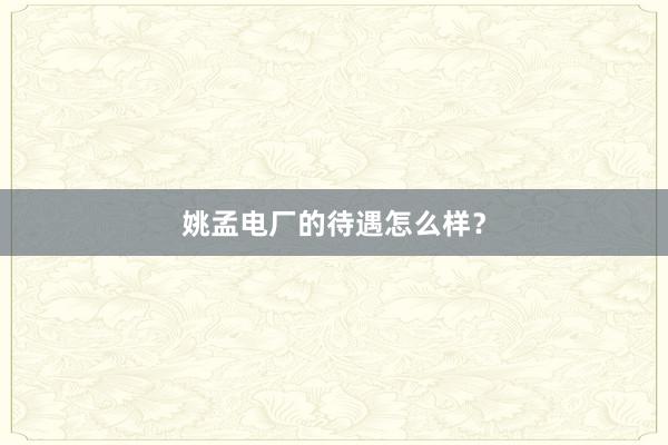 姚孟电厂的待遇怎么样?