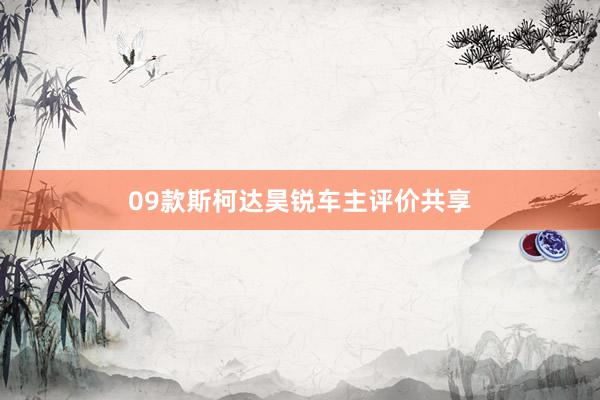 09款斯柯达昊锐车主评价共享